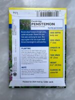 ⁦Cambridge Penstemon - LV⁩ - الصورة ⁦2⁩