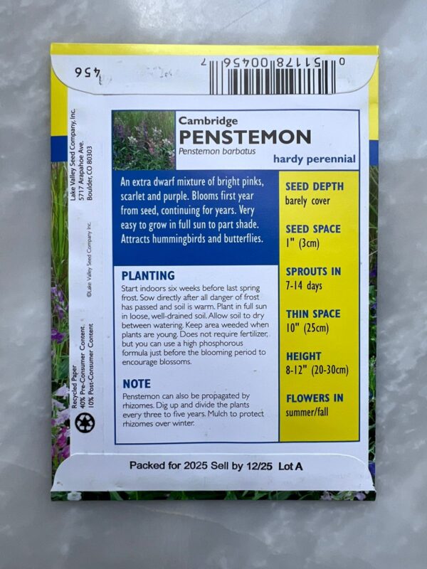 ⁦Cambridge Penstemon - LV⁩ - الصورة ⁦2⁩
