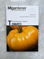 Brandywine Yellow Tomato - MIg