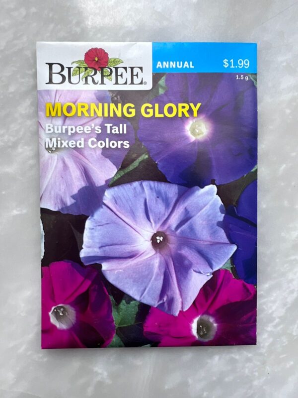⁦Morning Glory Mixed Colors - BP⁩ - الصورة ⁦1⁩