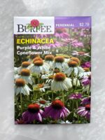 Echinacea Purple & White Coneflower Mix - BP