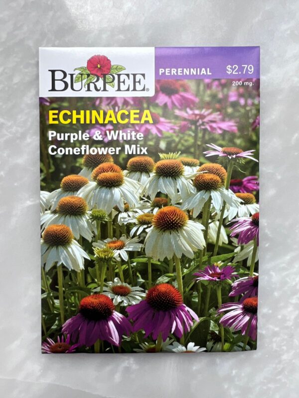 Echinacea Purple & White Coneflower Mix - BP - Image 1