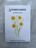 ⁦Strawflower Golden Yellow - MIg⁩ - الصورة ⁦3⁩