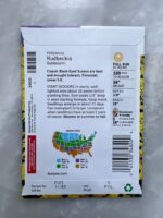 ⁦Rudbeckia Goldstrum - BP⁩ - الصورة ⁦2⁩
