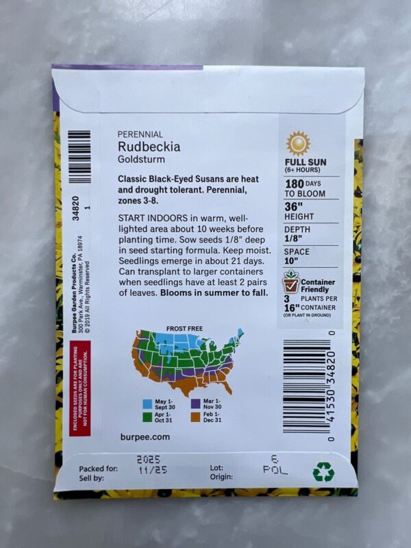 ⁦Rudbeckia Goldstrum - BP⁩ - الصورة ⁦2⁩
