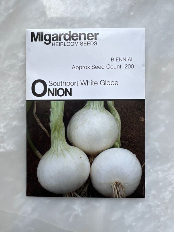⁦Onion Southport White Globe - MIg⁩ - الصورة ⁦1⁩