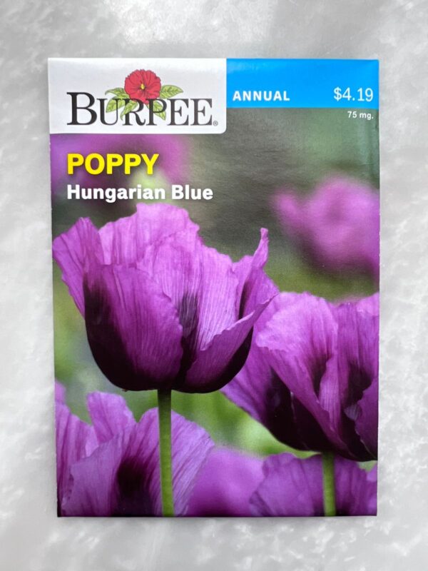 ⁦Hungarian Blue Poppy - BP⁩ - الصورة ⁦1⁩