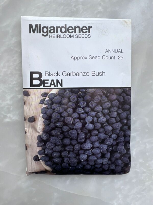 ⁦Bean Black Garbanzo (Bush) - MIg بذور الحمص⁩ - الصورة ⁦1⁩