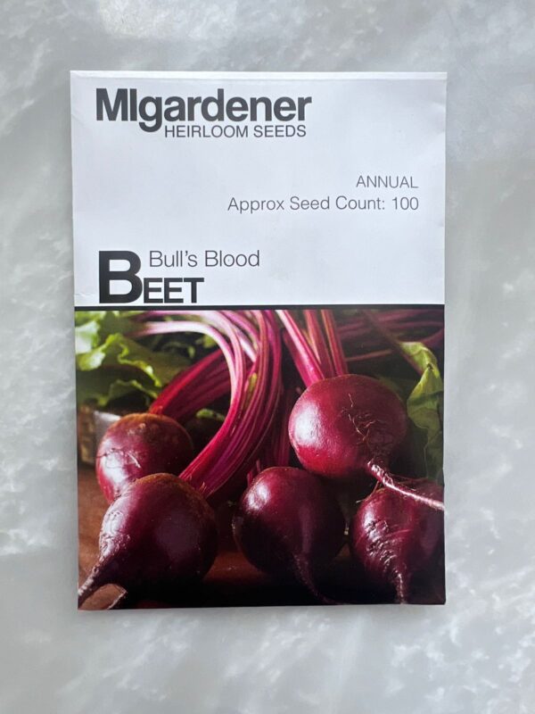 ⁦Beet Bull's Blood -MIg⁩ - الصورة ⁦1⁩