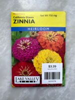 Zinnia California Giants - LV