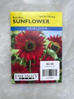Red Sun Sunflower - LV