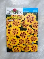 Marigold Jaguar - BP