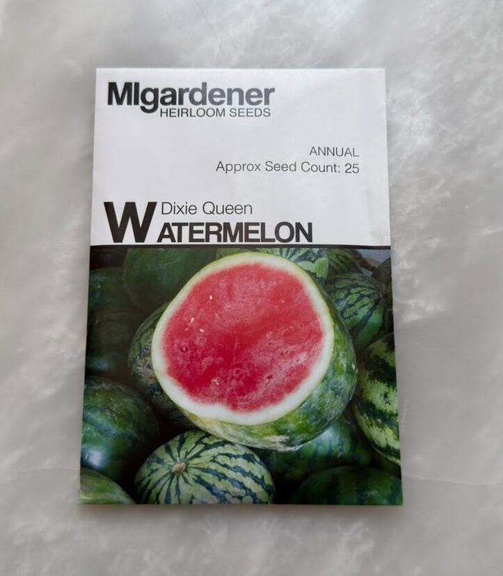 Dixie Queen Watermelon Dixie Queen Watermelon - MIg - Image 1