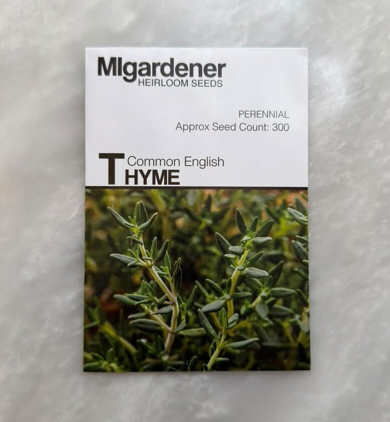 English Thyme -1 الزعتر الإنجليزي - الصورة 1