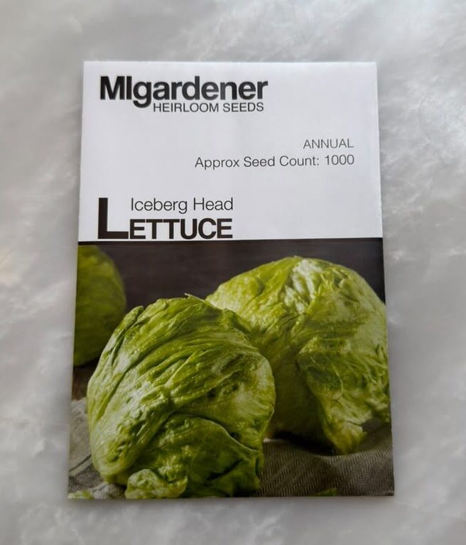 Iceberg Lettuce Crisp Mint Lettuce - MIg - Image 1