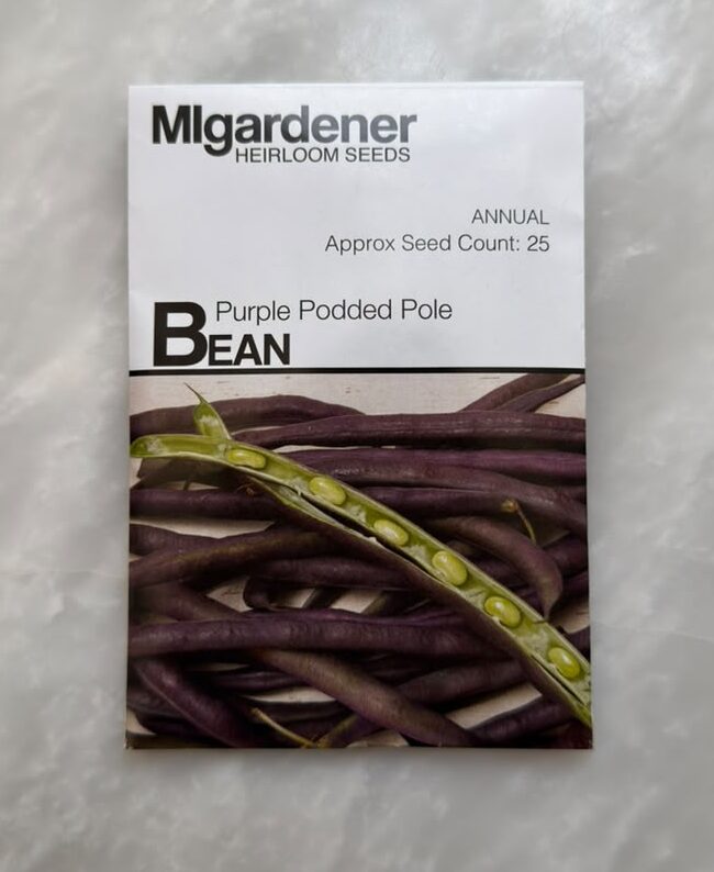 Purple Podded Pole Bean Purple Podded Bean - MIg - Image 1