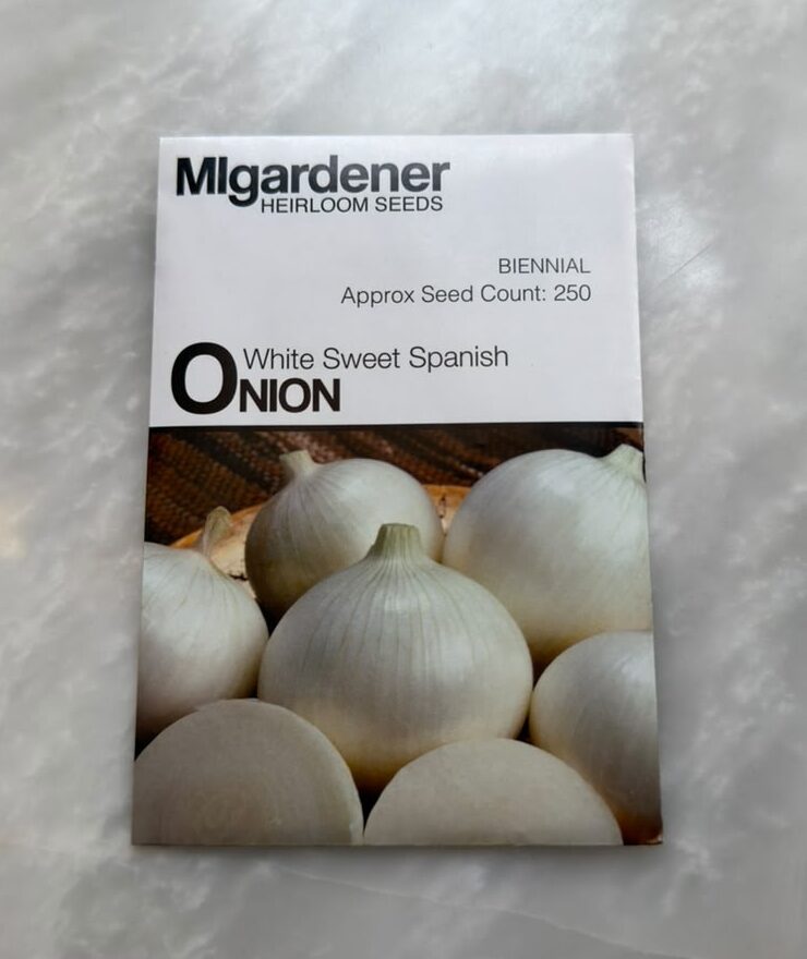 White Sweet Spanish Onion White Sweet Spanish Onion - MIg - Image 1
