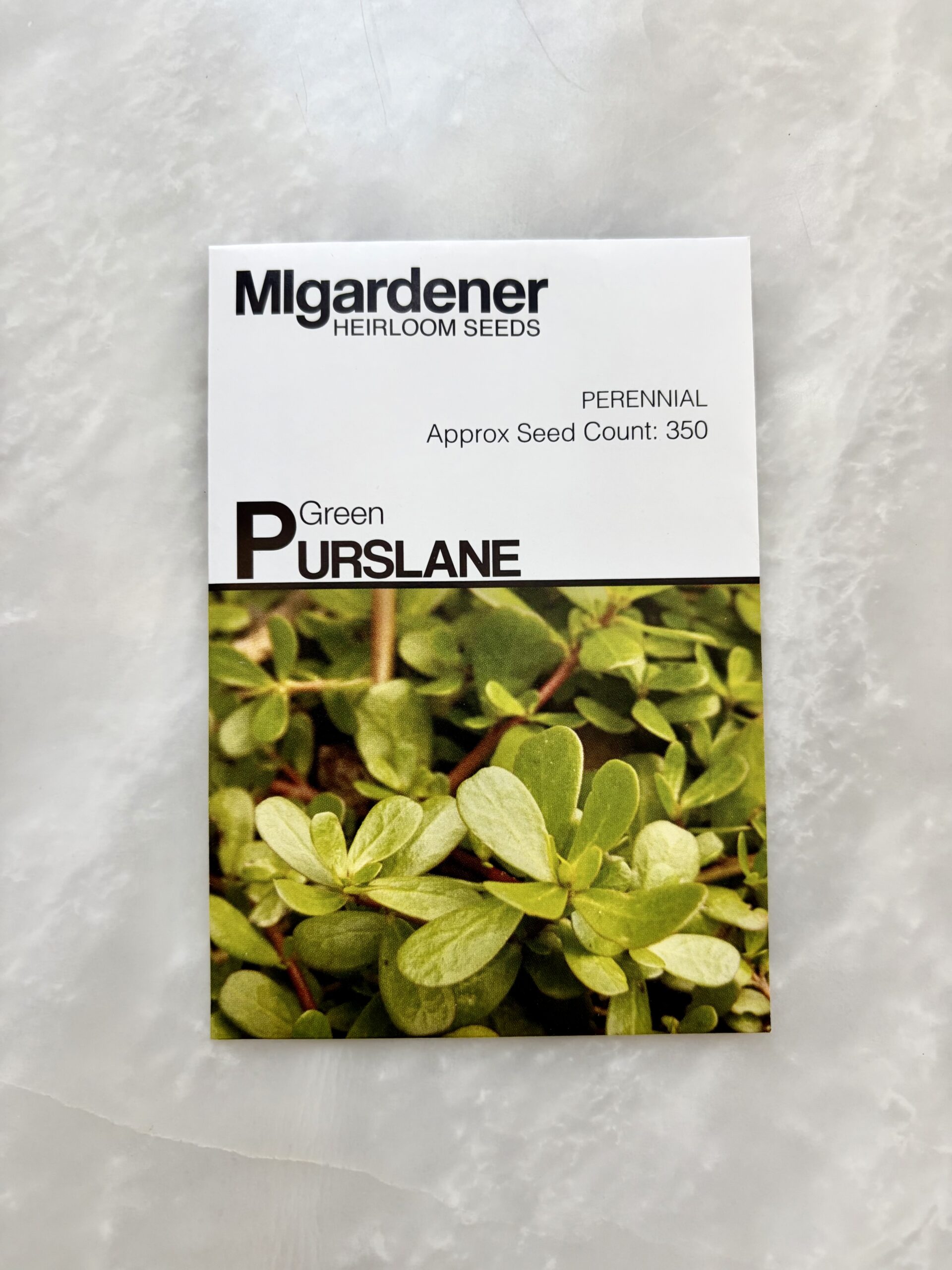 Common Pursalne Green Purslane - MIg - Image 1