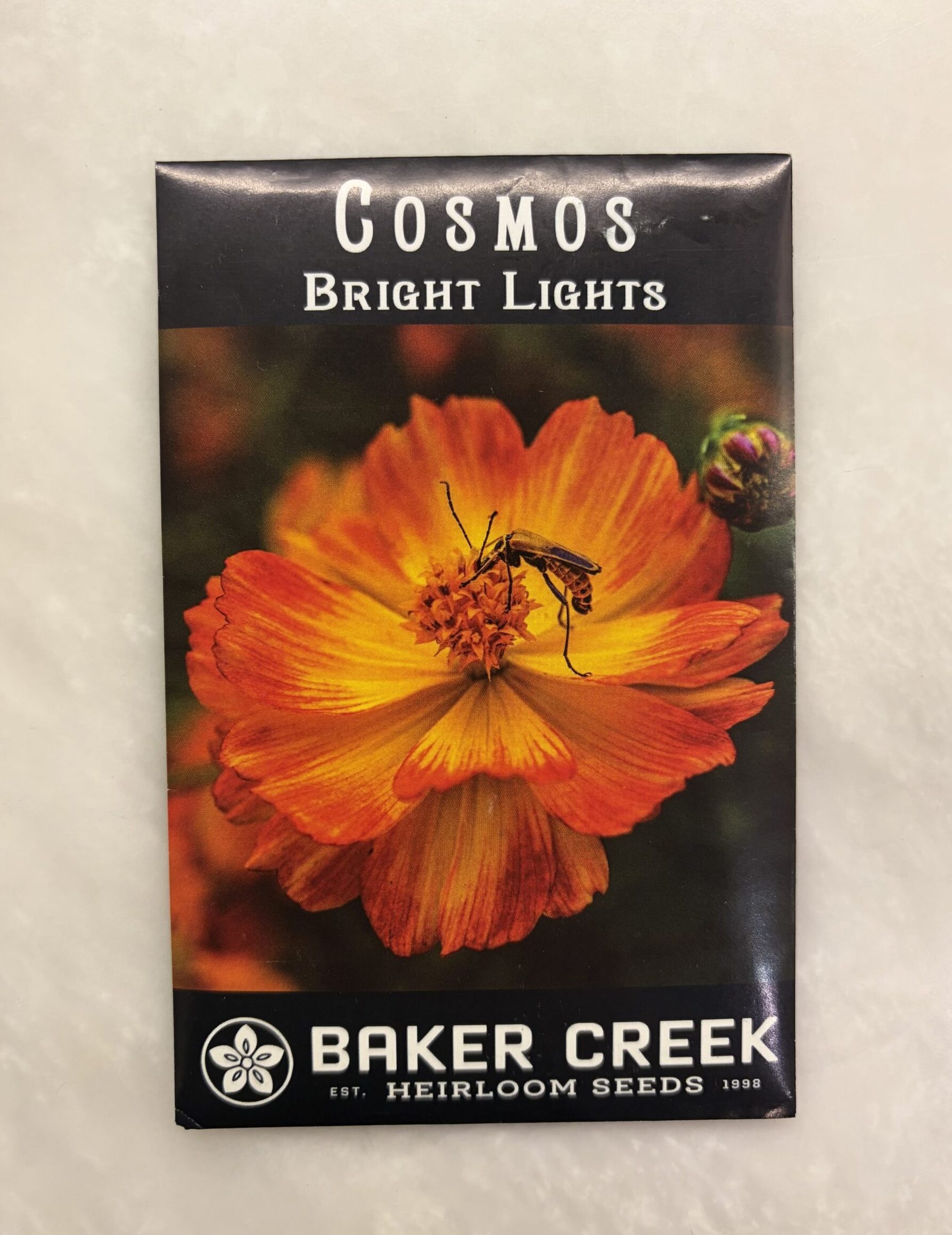 Cosmos Bright lights Cosmos Bright Lights - BC - Image 1