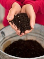 Local Roots Strawberry Growing Kit - Image 7
