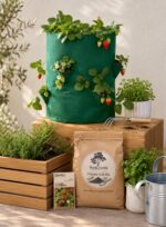 Local Roots Strawberry Growing Kit - Image 3